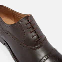 Ted Baker Arniie Leather Toe Cap Oxford Shoes -Cheap Stepwise Footwear Store 13636736 2514977074149509